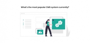 CMS System CMS System